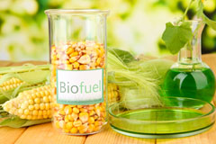 Salisbury biofuel availability